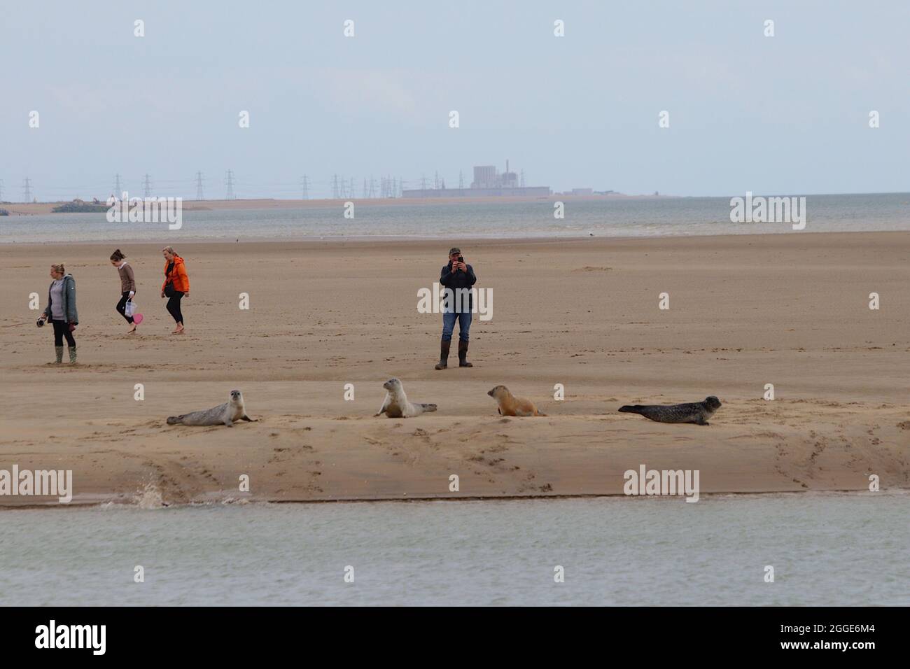 Camber sands beach see hi-res stock photography and images - Alamy
