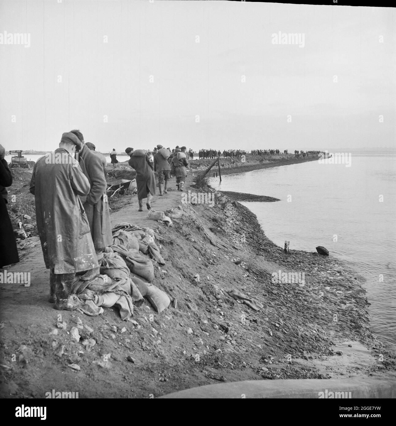 A chain of Laing workers carrying sandbags to breaches in the river wall after flooding on the construction site of Coryton Oil Refinery. On the night of Saturday 31st January through to the morning of Sunday 1st February 1953, severe floods struck parts of the UK, Scotland, Belgium and the Netherlands. The natural disaster is often referred to as the North Sea Flood of 1953. Severe flooding occurred along the east coast of the UK. The site of Coryton Oil Refinery flooded as the river wall protecting the site was breached in 14 places. An article detailing the disaster and subsequent recovery Stock Photo