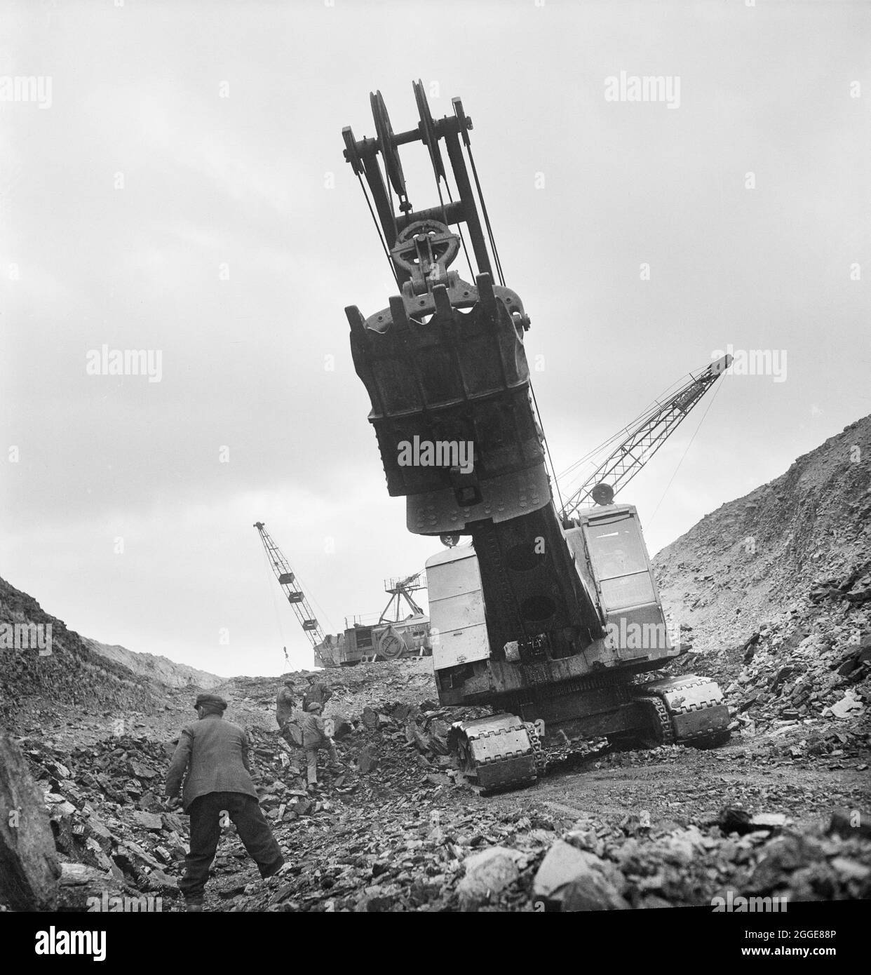 A small team of men at work in the opencast mine at Carrington's Coppice as an excavator looms overhead. John Laing and Son Ltd had started opencast mining operations in 1942 to meet wartime needs. The work was expanded by the company after the war. Carrington's Coppice was the largest site that the company worked and was the deepest opencast site in Britain. Work started in 1947 and by 1949 the seam was worked out. By August 1950 the land was reinstated for agricultural use. Stock Photo