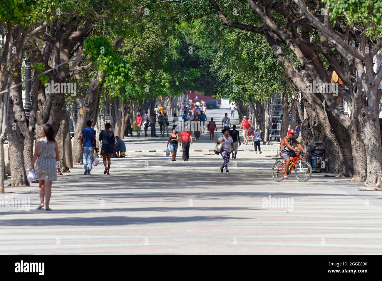 People, Habaneros, Cubans, strolling along Paseo del Prado, avenue, capital Havana, Havana province, Greater Antilles, Caribbean, Cuba Stock Photo