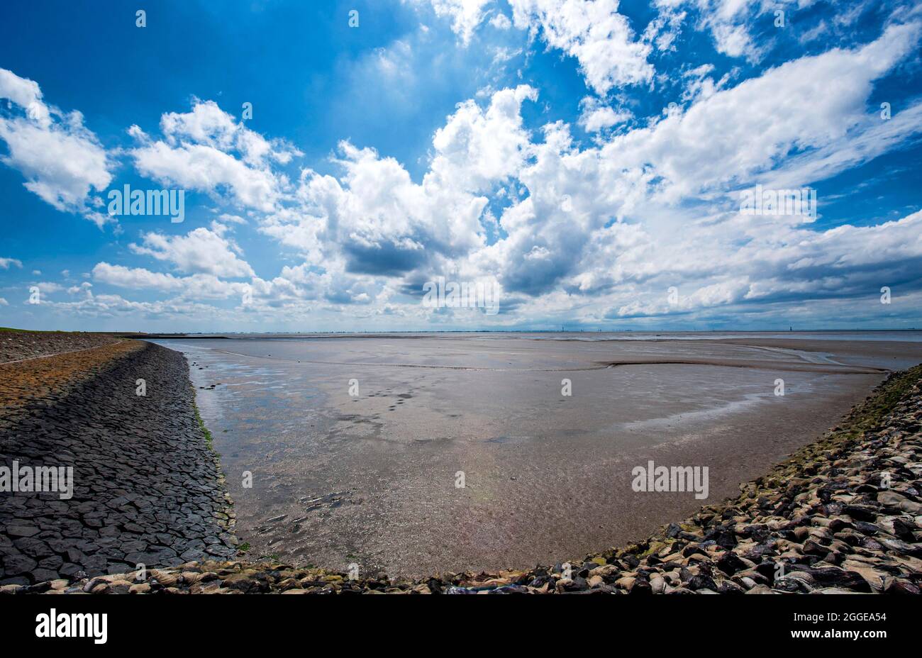 Dike and groyne at Wurster North Sea coast between Dorum-Neufeld and Wremen  at low tide, Lower Saxony, Lower Saxony Wadden Sea National Park, Germany  Stock Photo - Alamy