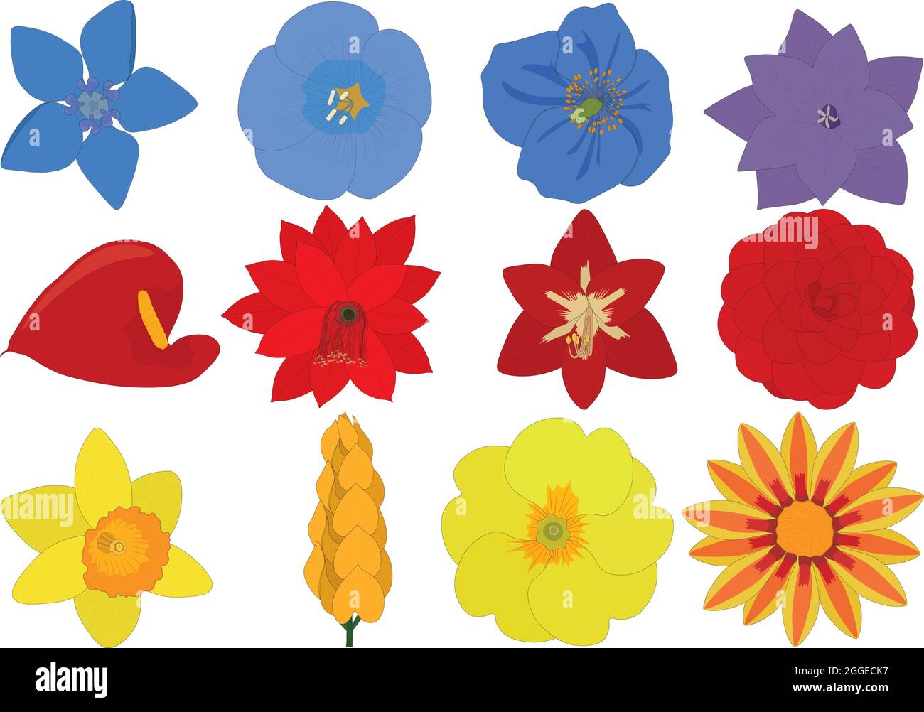 Bright blue, red and yellow flowers collection vector illustration Stock Vector