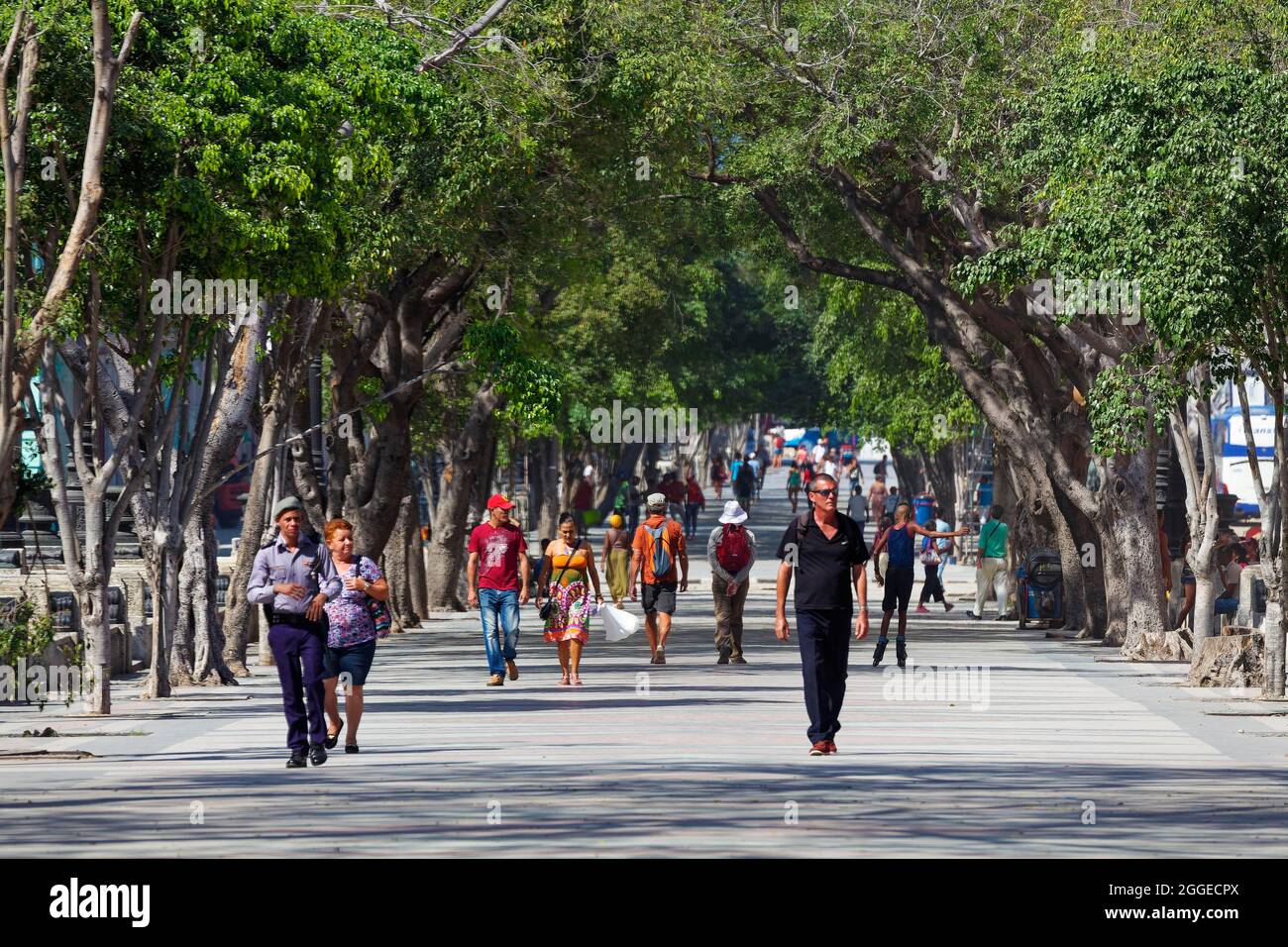 People, Cubans, strolling along Prado, avenue, capital Havana, Havana province, Greater Antilles, Caribbean, Cuba Stock Photo