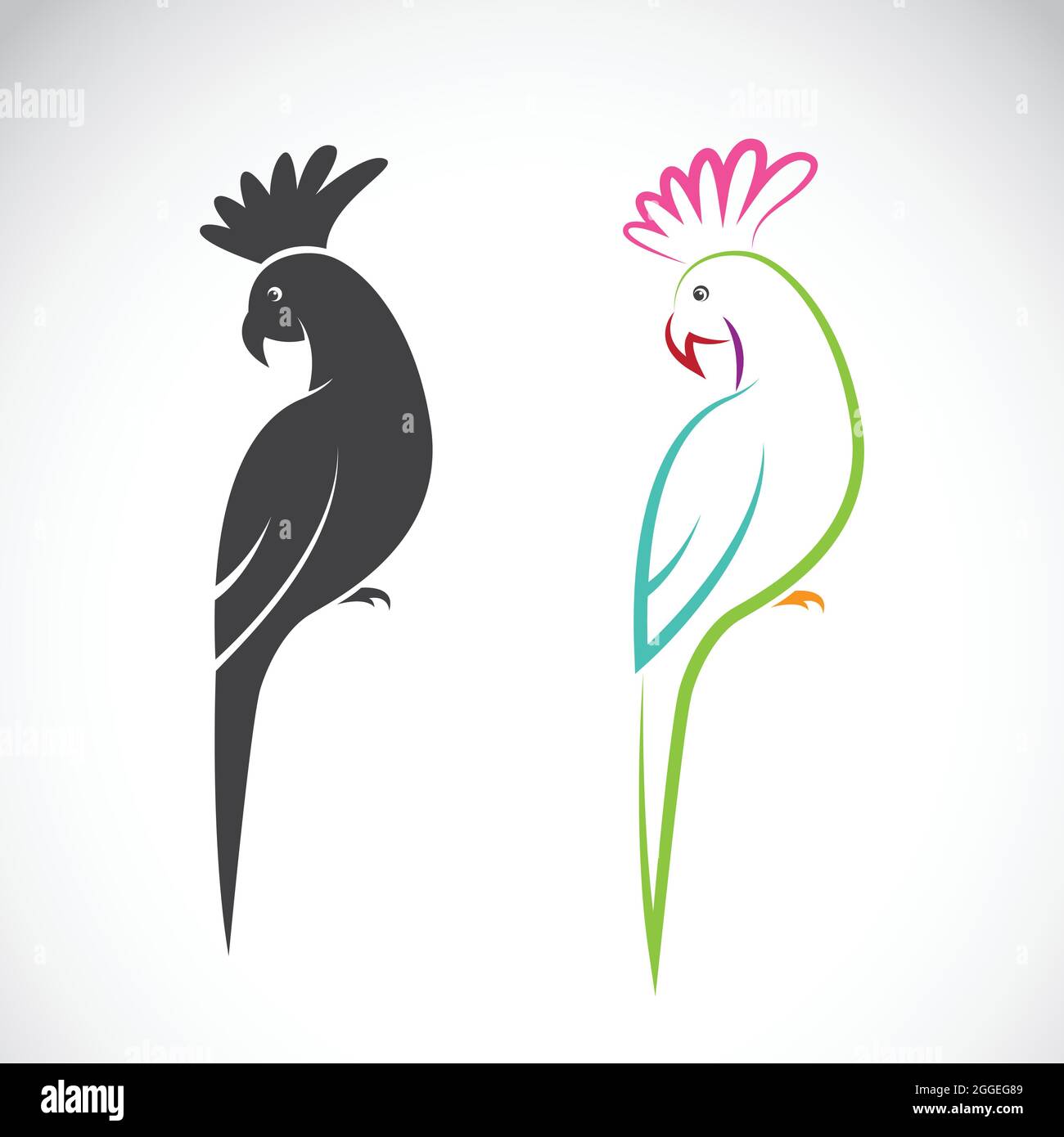Vector image of a parrot design on white background. Easy editable ...