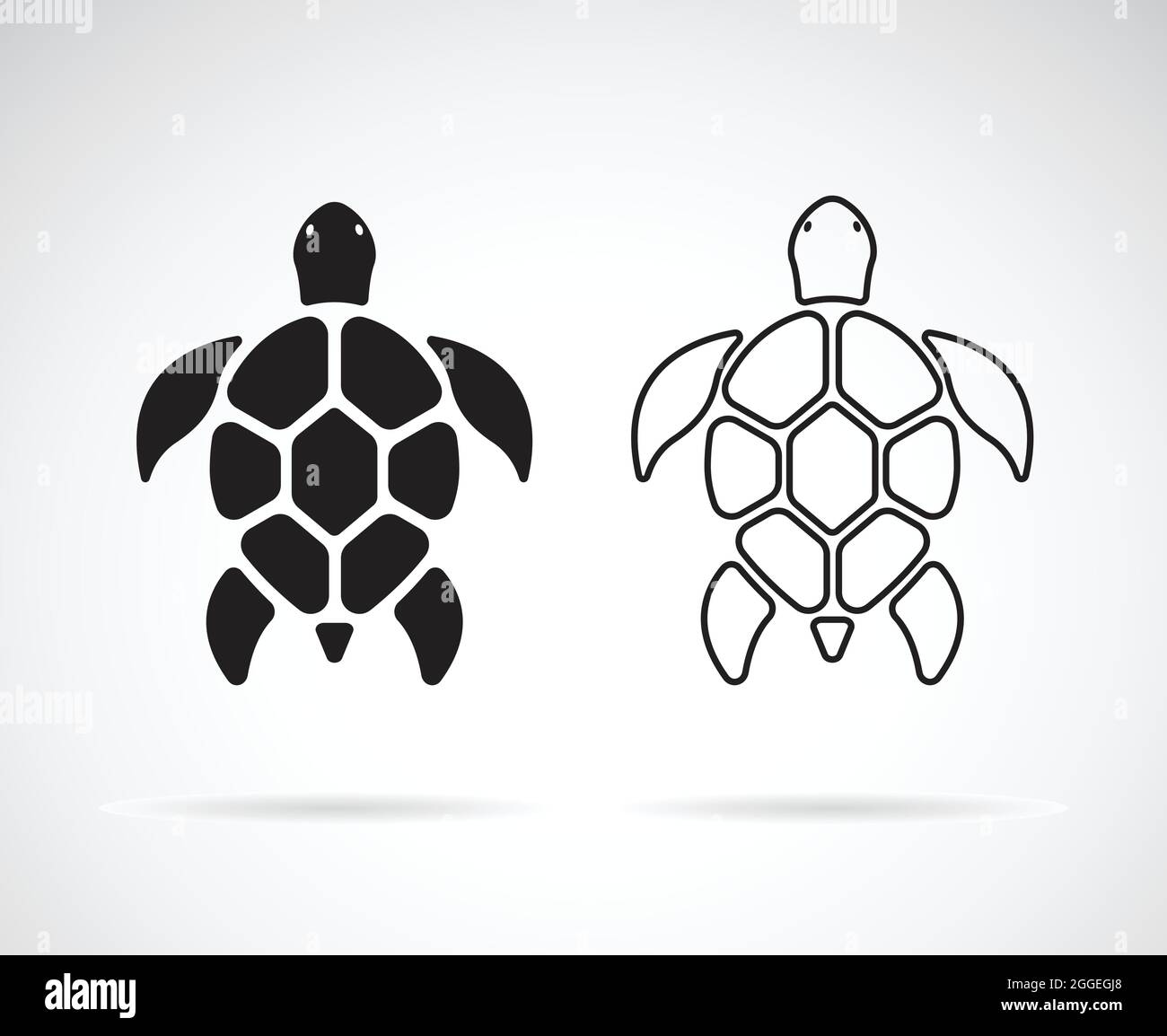 Vector of turtle design on a white background. Reptile. Animals. Easy ...