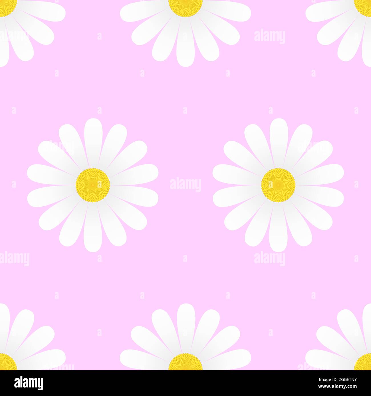 White daisy flowers on pink background seamless pattern. Vector illustration. Stock Vector