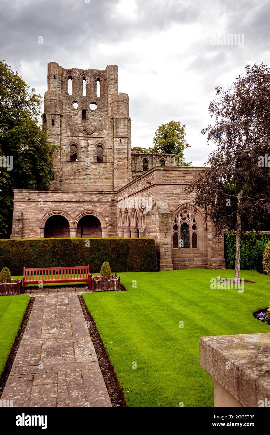 The ruins of the ancient abbey founded in 1243 tower over the  Roxburghe Aisle cloister which serves as a burial vault for the Dukes of Roxburghe Stock Photo