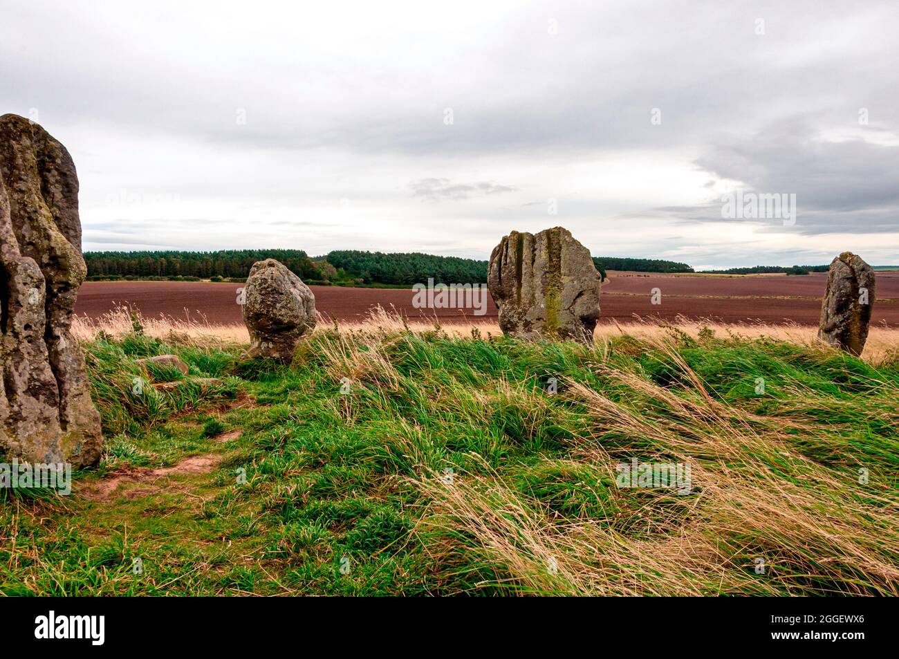 The standing stones of the Neolithic/Bronze Age scheduled monument of