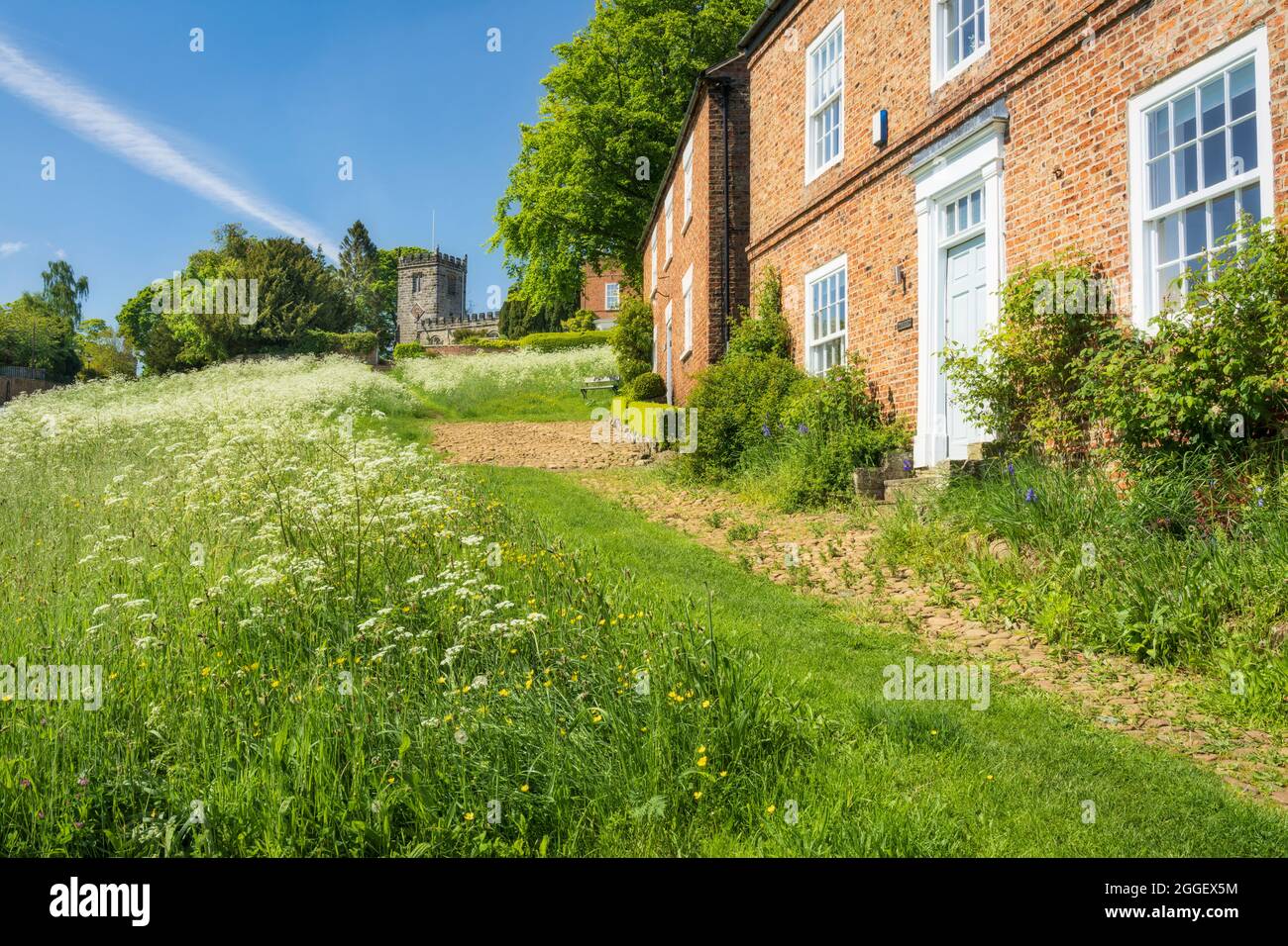 Wild flowers on the village green at Hilltop village Crayke near Thirsk