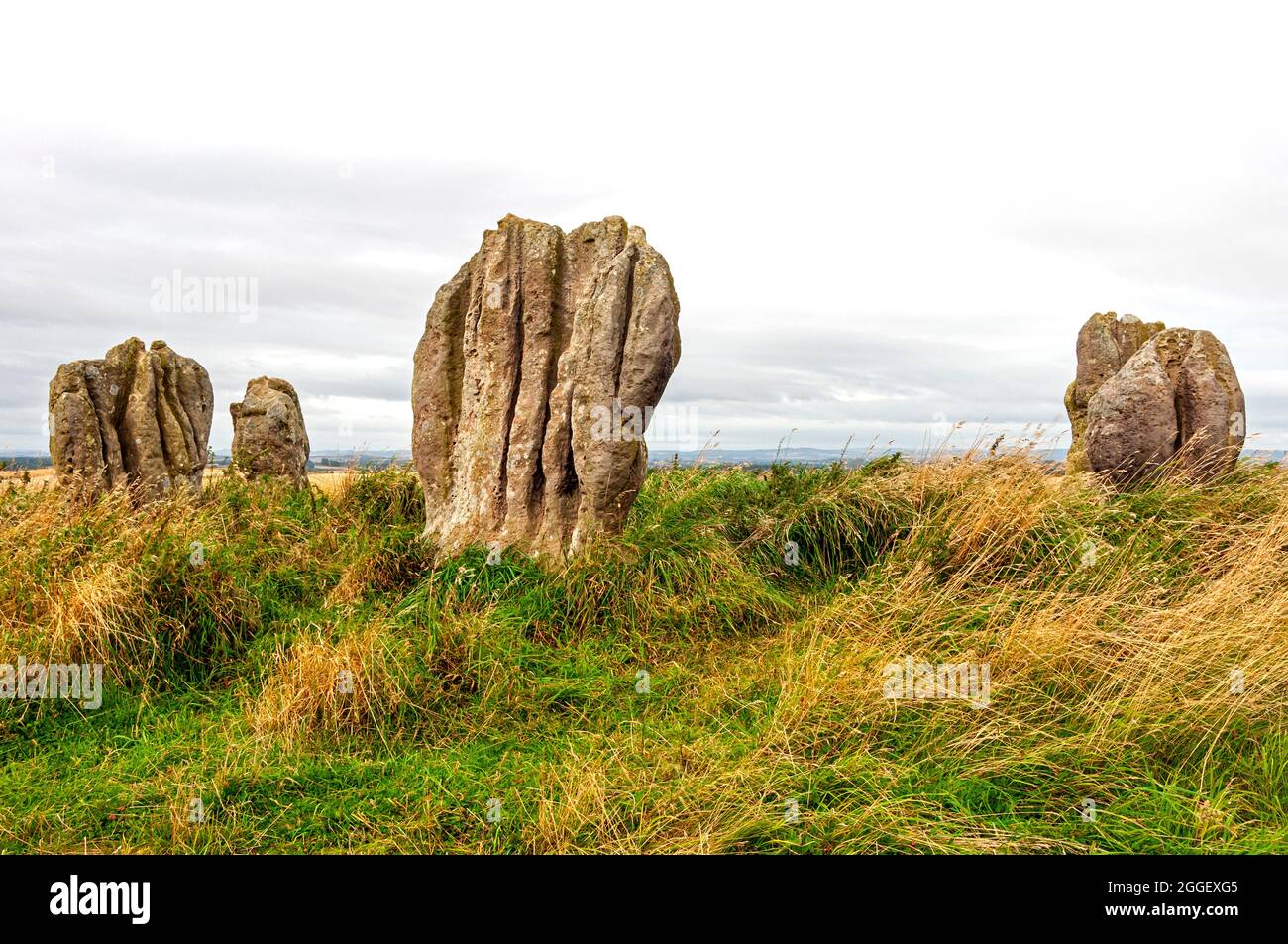 The standing stones of the Neolithic/Bronze Age scheduled monument of