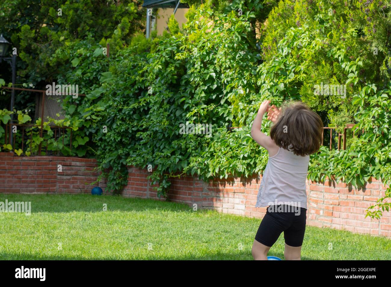 Little girl is playing with her blue ball in the garden of their house. Selective Focus Girl Stock Photo
