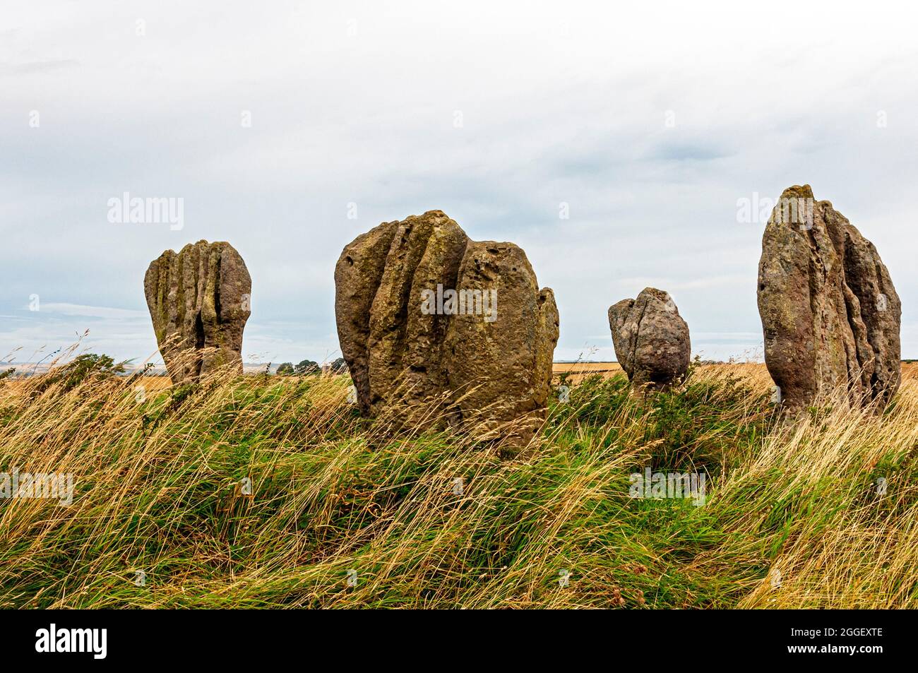 The standing stones of the Neolithic/Bronze Age scheduled monument of