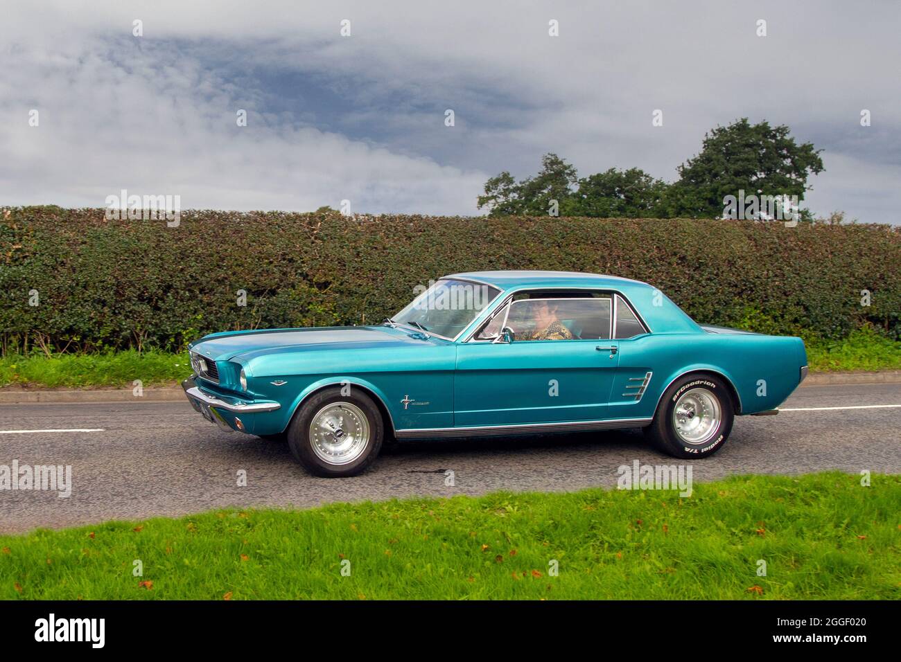 1966 60s sixties Blue Ford Mustang pony car 2dr coupe en-route to Capesthorne Hall classic August car show, Cheshire, UK Stock Photo