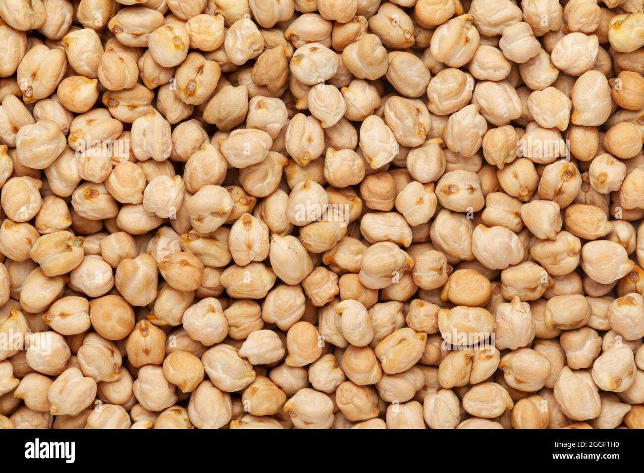 Close up of Organic small chhole chana or Kabuli chana (Cicer arietinum) or whole white Bengal gram dal Full-Frame Background. Top View Stock Photo