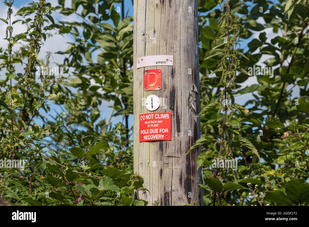 Red sign on an unsafe BT wooden telegraph pole saying 'do not climb' and 'pole due for recovery' Stock Photo