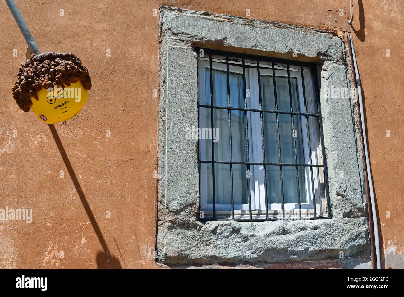 la nipote film del 1974 streaming