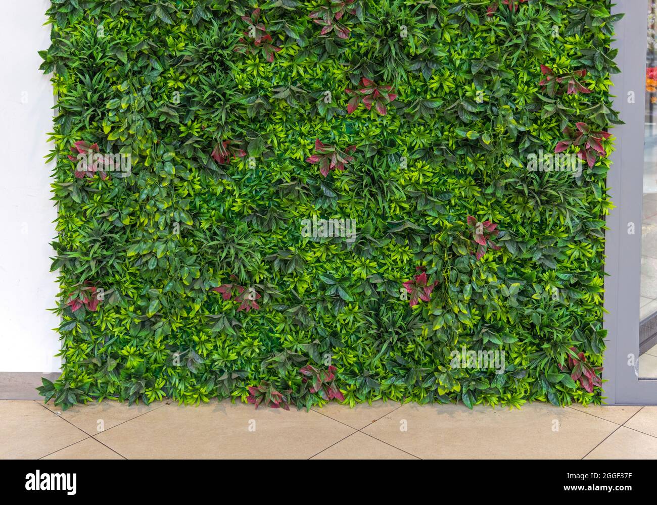 Plastic Plants Green Wall Vertical Foliage Decoration Stock Photo Alamy