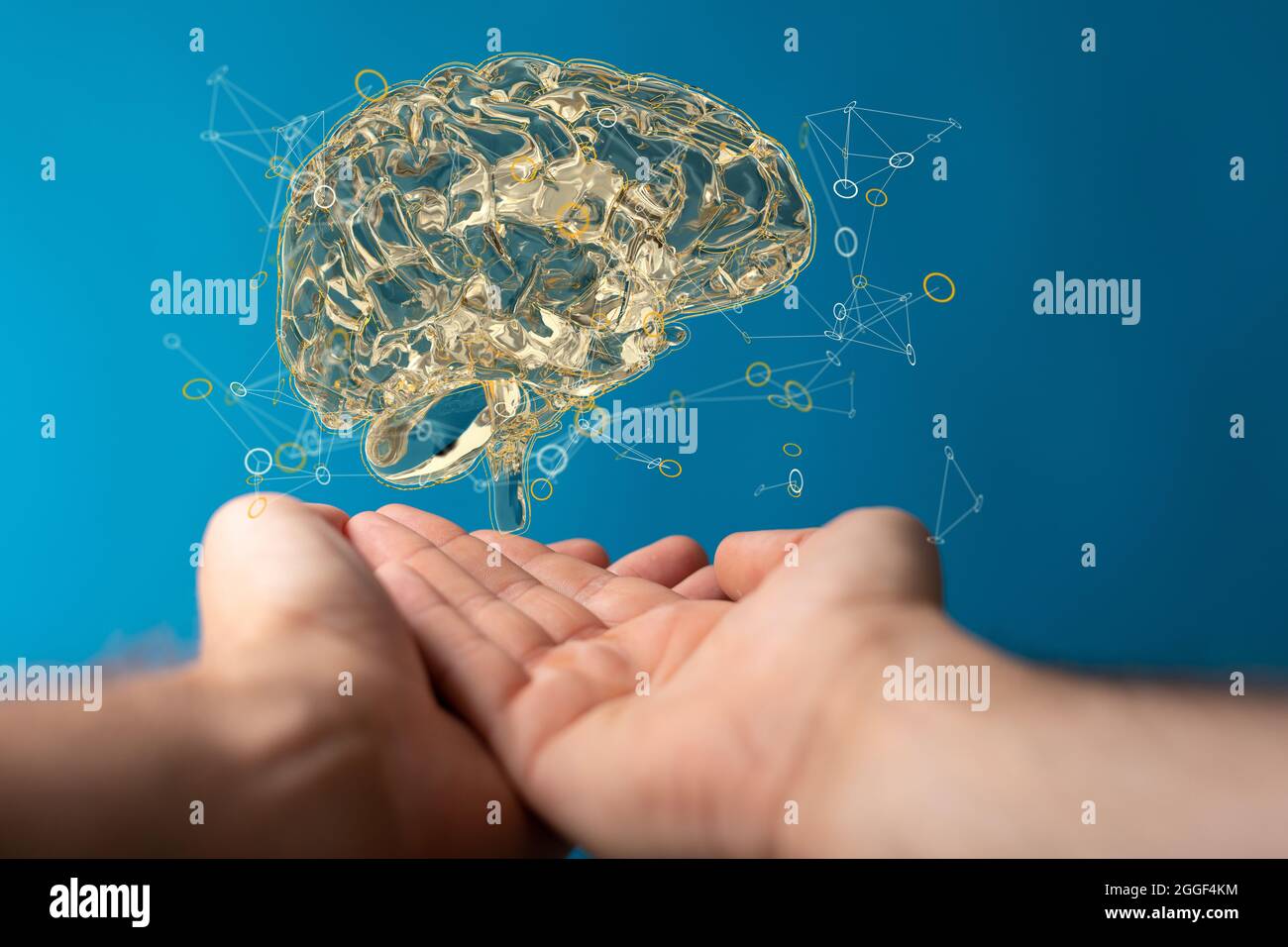 3D rendering of a brain in man's hands isolated on a blue background ...