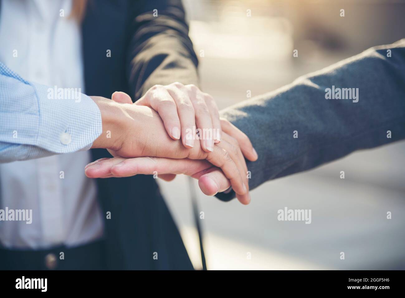 Group of diversity people with success partnership fist bump of hands together to show power and unified teams in office. Business teamwork trust in p Stock Photo