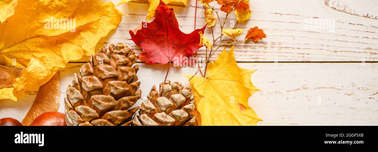 a set of fall materials for children's creativity and crafts on a wooden table. orange fallen autumn maple leaves and seeds, cedar cones, twigs and re Stock Photo
