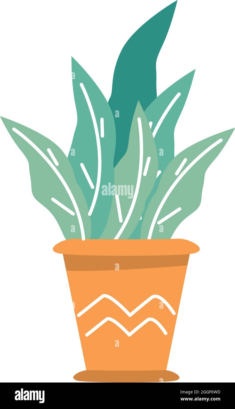beautiful houseplant in pot Stock Vector Image & Art - Alamy