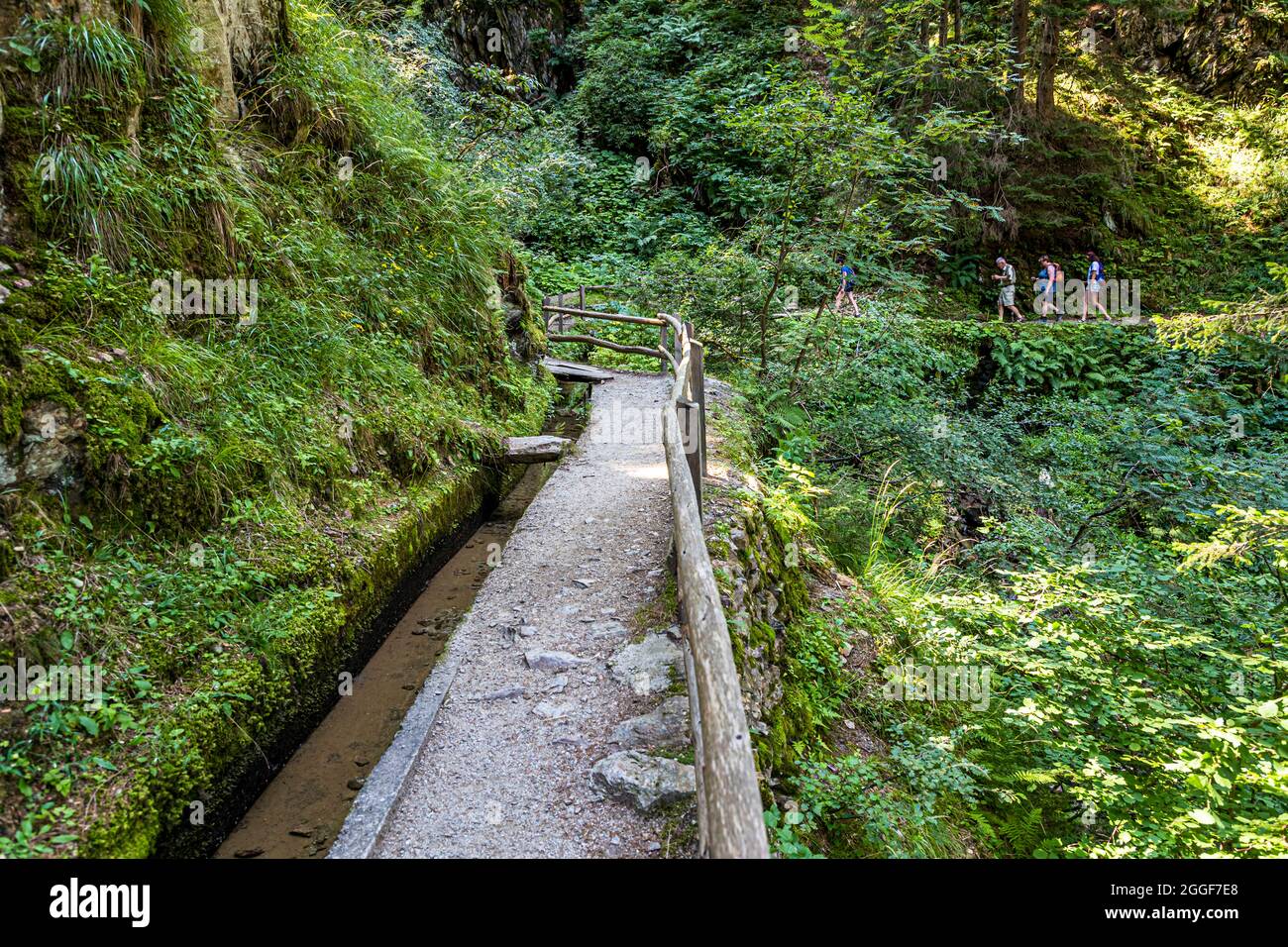 Waal paths run alongside ancient irrigation canals near Schenna, South Tyrol, Italy Stock Photo