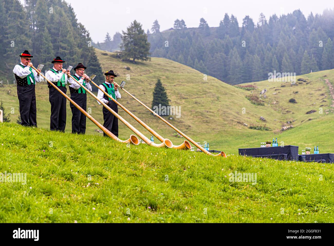 Unplugged Taste is the name of the gourmet event at the Gompm-Alm in South Tyrol, Italy. It takes place every year on the last Sunday in August. Alphorns belong to the hearty folklore Stock Photo