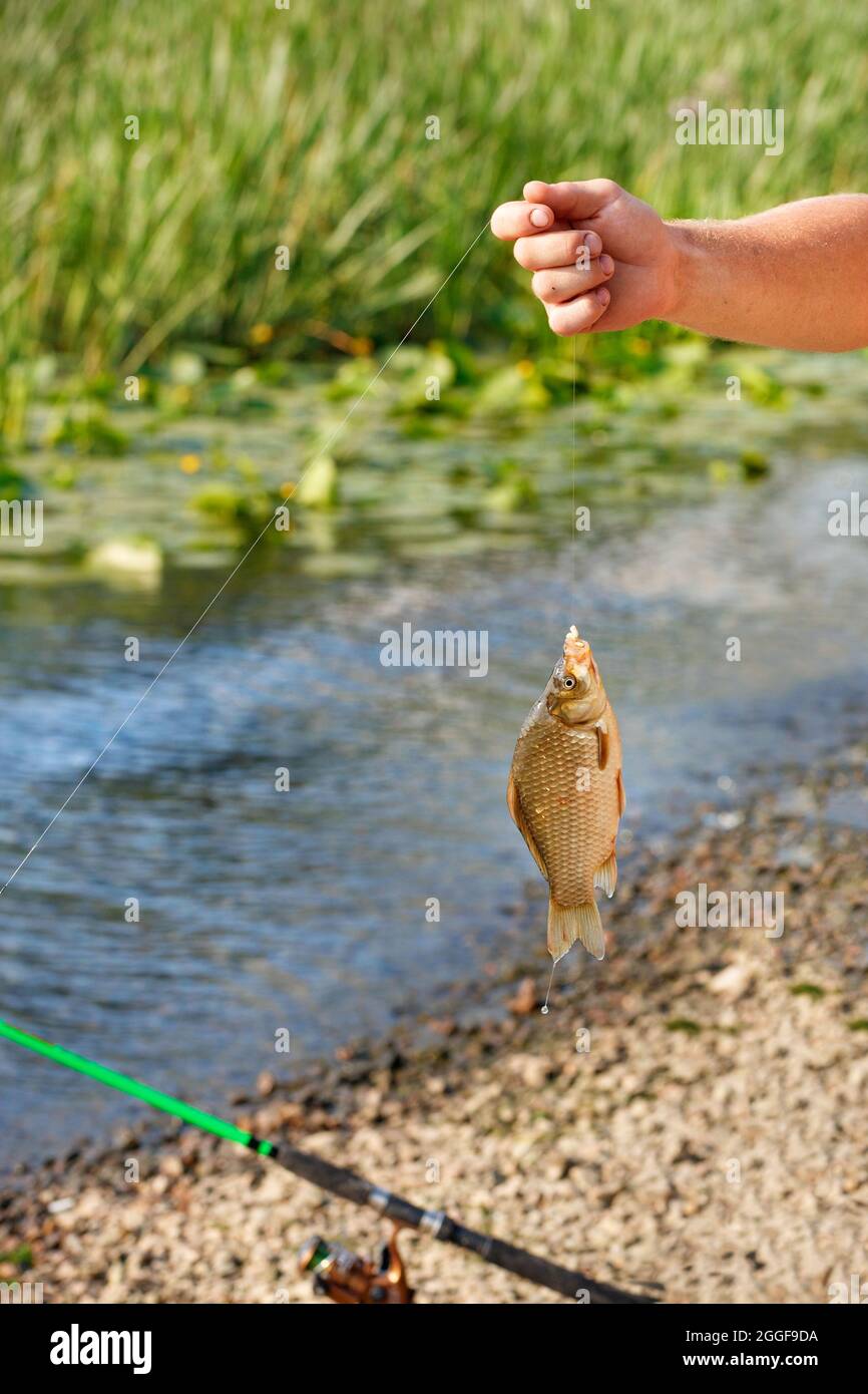Cane Pole Fishing: Over 11 Royalty-Free Licensable Stock