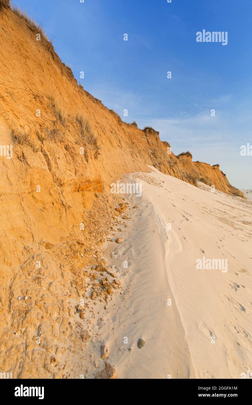 Rotes Kliff / Rote Kliff, 30-metre high sea cliffs between Wenningstedt and Kampen on the German North Sea island Sylt, Schleswig-Holstein, Germany Stock Photo