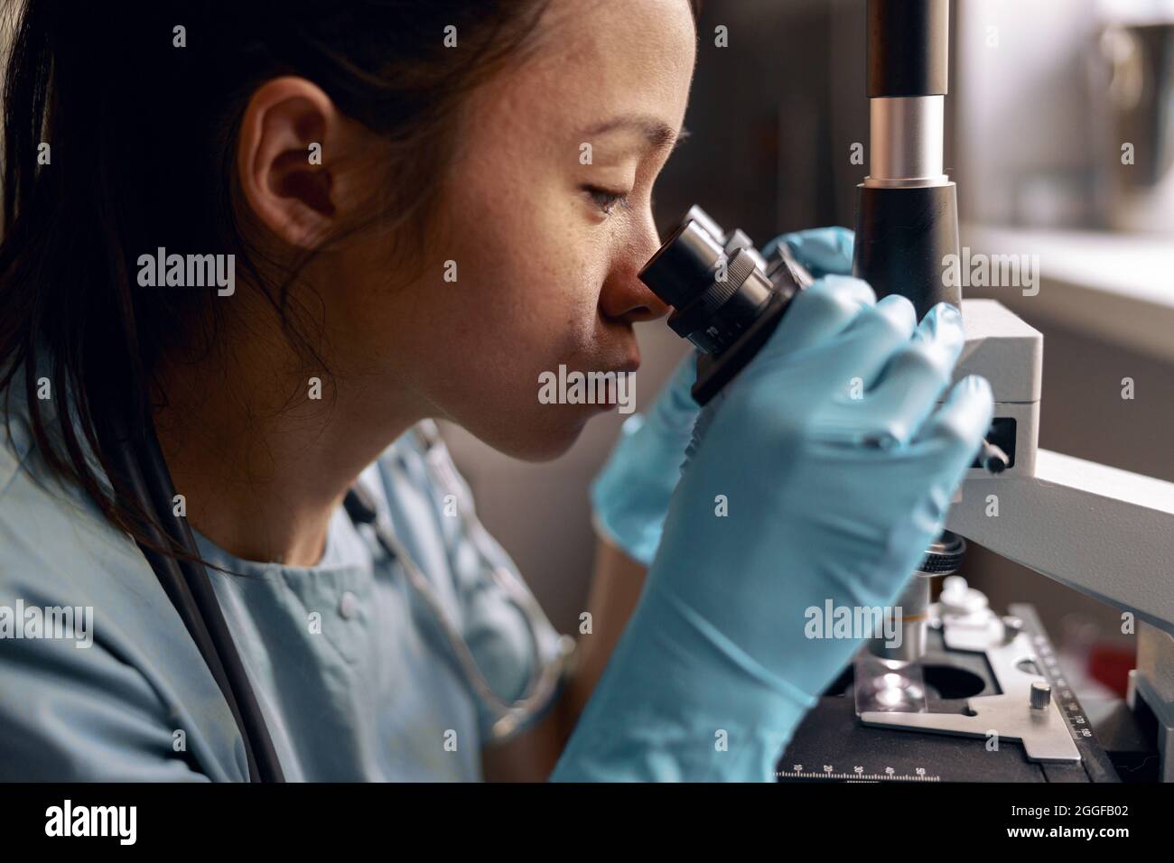 Asian woman in blue gloves looks into microscope lens sitting at workplace in laboratory Stock Photo