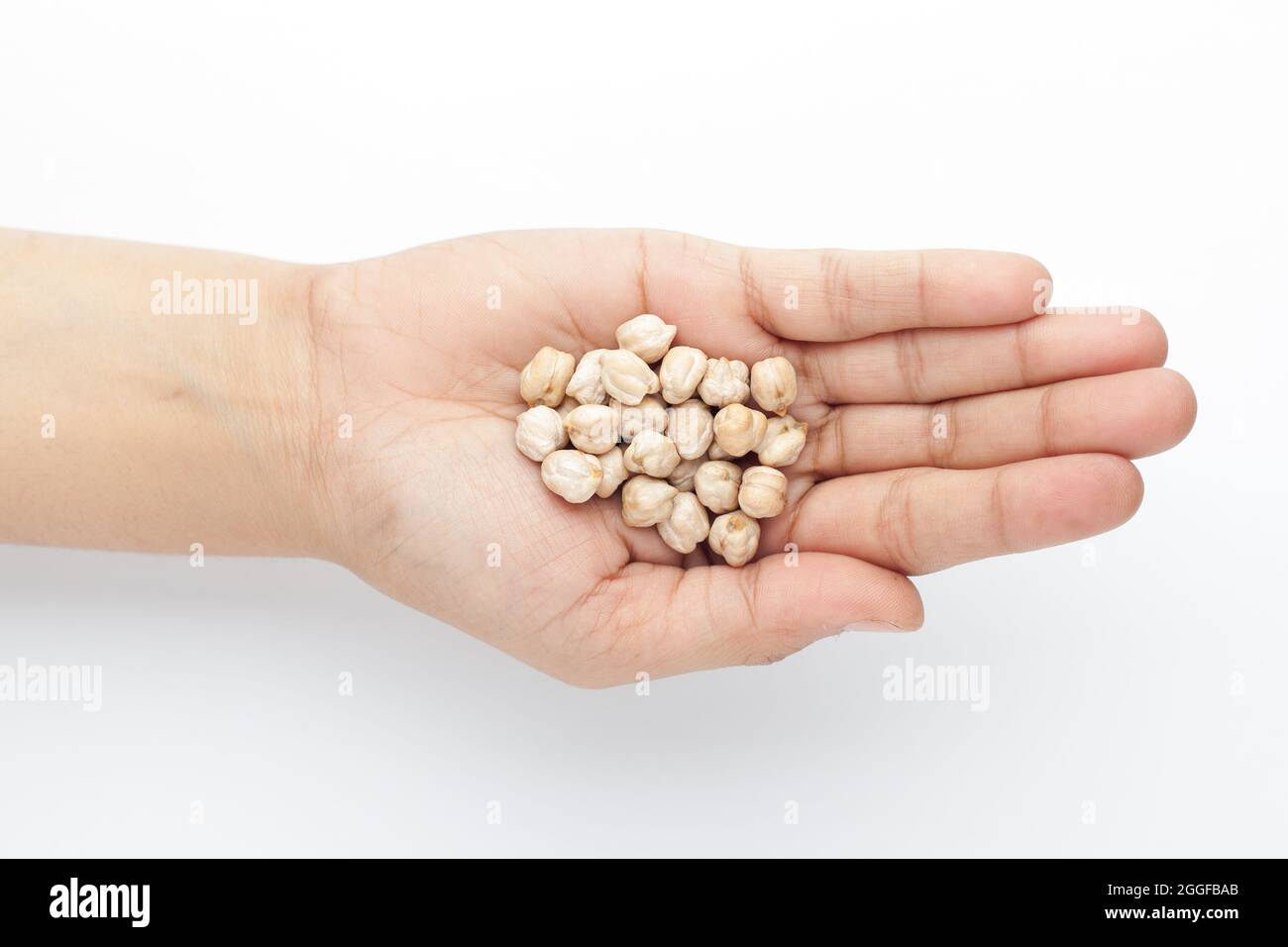 Macro Close-up of Organic chhole chana or Kabuli chana (Cicer arietinum) or whole white Bengal gram dal on the palm of a Female hand. Top view Stock Photo