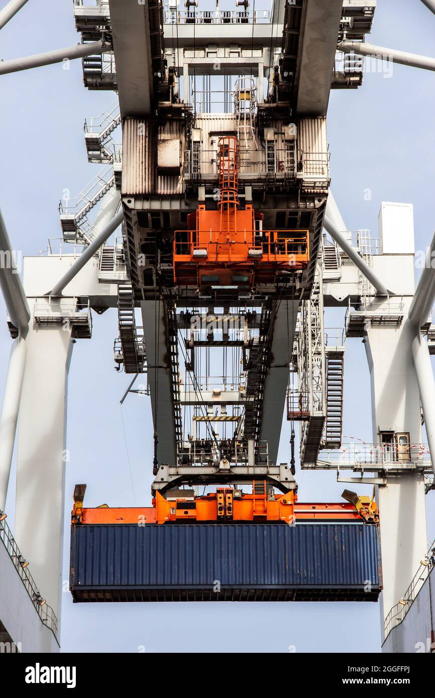 Shipping container unloaded by gantry crane from a industrial ship in ...