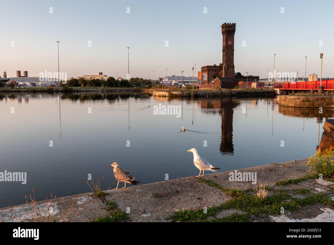 Birkenhead, UK: Alfred Dock and Central Hydraulic Tower, built in 1863 for providing power for movement of lock gates and bascule bridges. Stock Photo