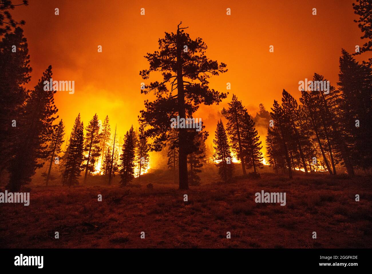El dorado valley hires stock photography and images Alamy