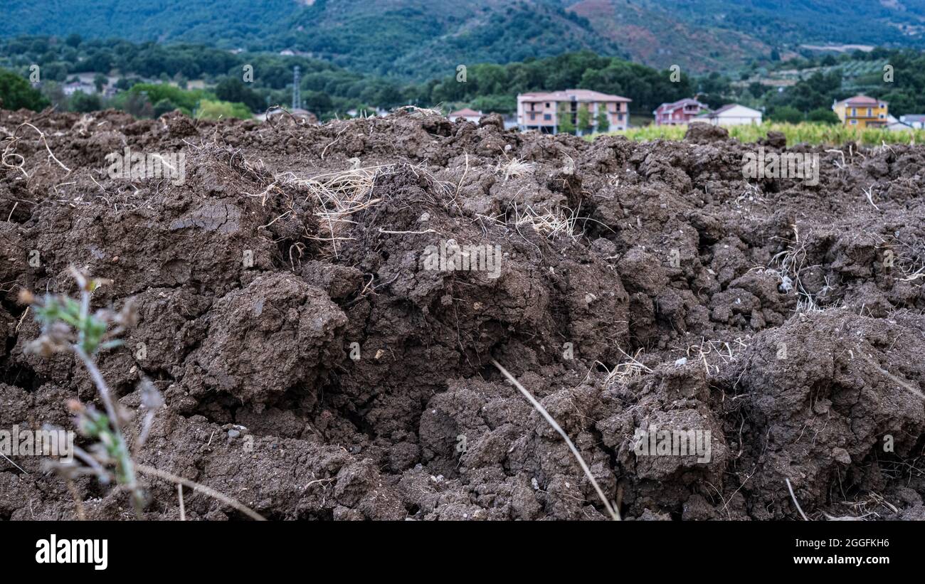 Plants with clods of earth hi-res stock photography and images - Alamy