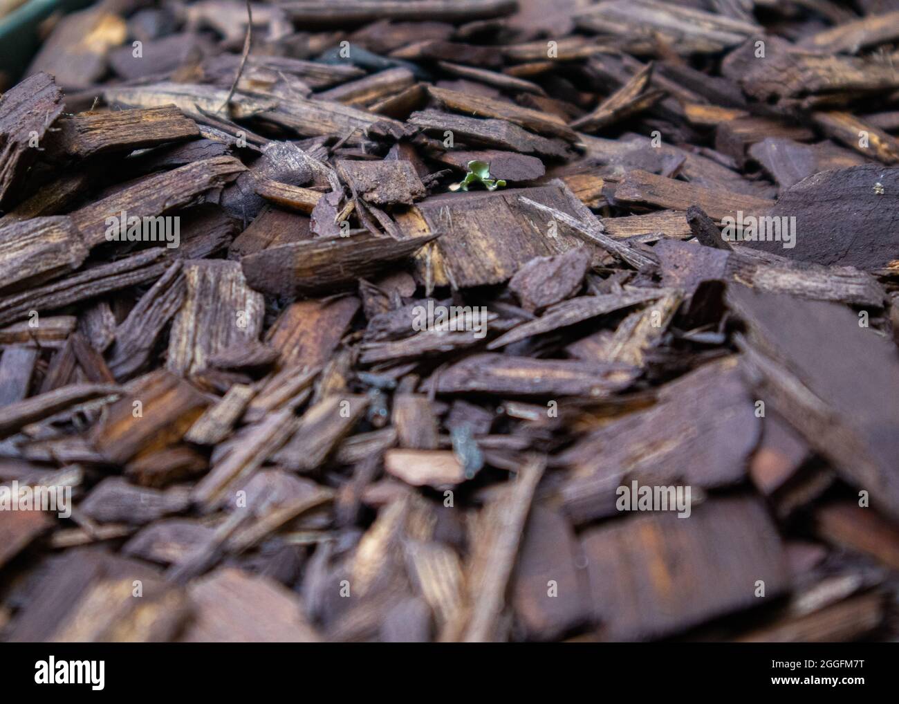 Pile of mulch Stock Photo Alamy