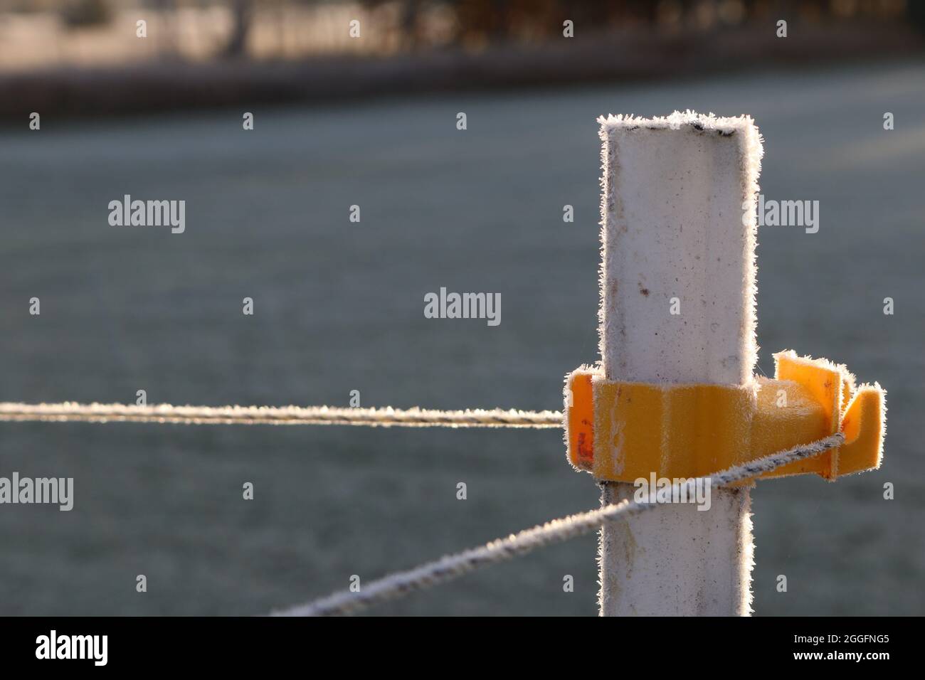 Frost in Minnesota Stock Photo Alamy