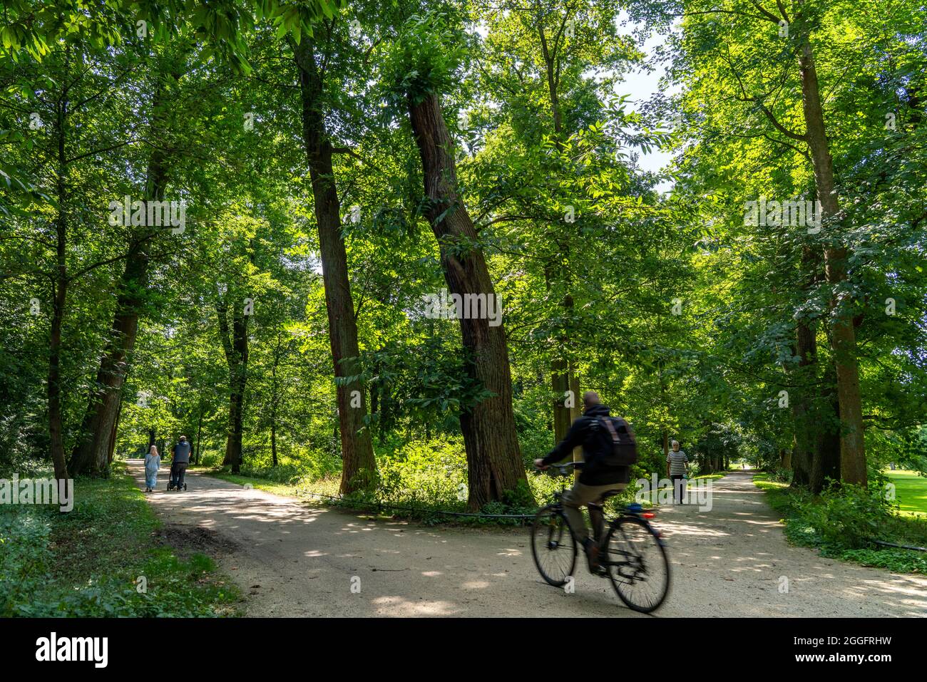 The castle park in Herten, paths in the park, old trees, NRW, Germany, Stock Photo