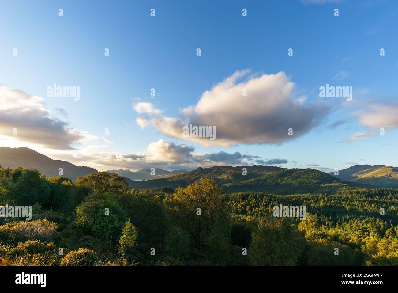 Landscape with forest of Loch Lomond and Trossachs National Park in at sunset, Scotland, United Kingdom Stock Photo