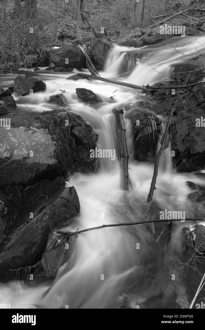 Waltham park Black and White Stock Photos & Images Alamy