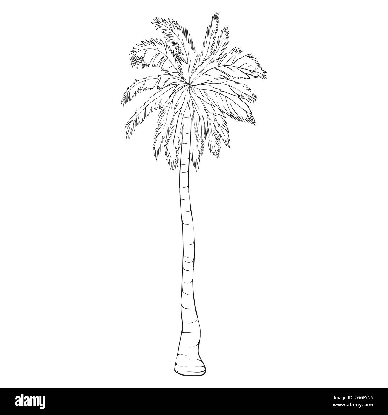 Coconut palm tree natural icon isolated on a white background, art logo ...