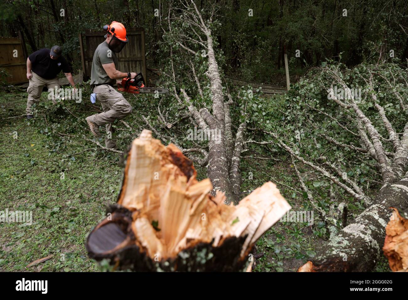Baton Rouge, United States of America. 30 August, 2021. U.S. Border Patrol agents from the Lake Charles Border Patrol Station help clear downed trees from a residence in the aftermath of Hurricane Ida August 30, 2021 in Baton Rouge, Louisiana. Ida swept through the area with winds of 150 mph and made landfall 16-years ago to the day of Hurricane Katrina. Credit: Glenn Fawcett/CBP Photo/Alamy Live News Stock Photo