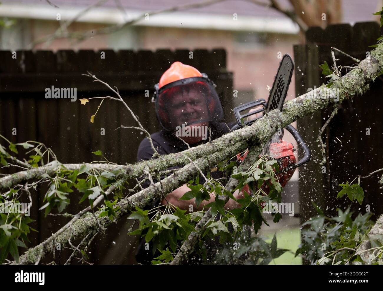 Baton Rouge, United States of America. 30 August, 2021. U.S. Border Patrol agents from the Lake Charles Border Patrol Station help clear downed trees from a residence in the aftermath of Hurricane Ida August 30, 2021 in Baton Rouge, Louisiana. Ida swept through the area with winds of 150 mph and made landfall 16-years ago to the day of Hurricane Katrina. Credit: Glenn Fawcett/CBP Photo/Alamy Live News Stock Photo