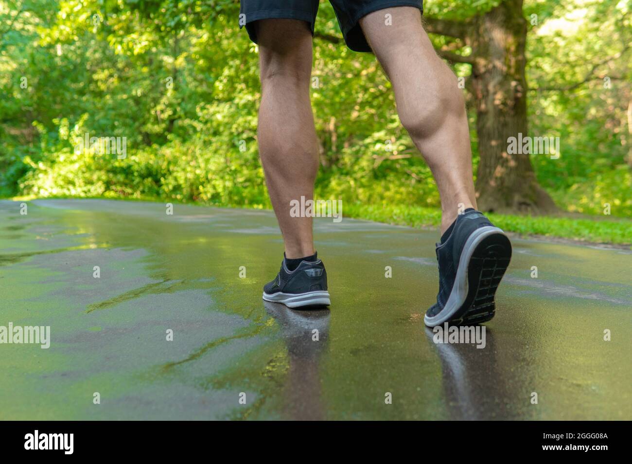 Legs in sneakers close up athlete runs in the park outdoors, around the ...