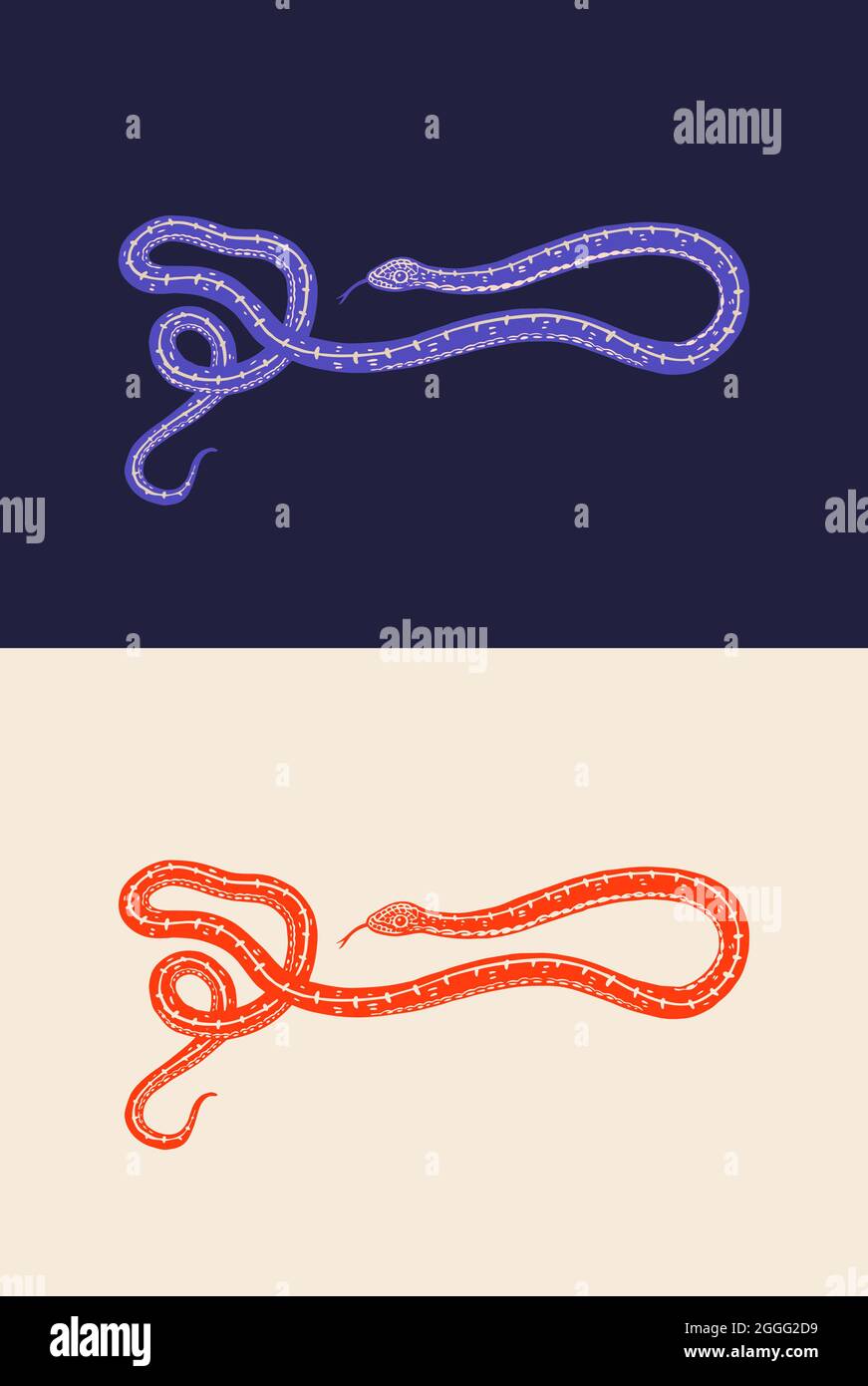 Python in Vintage style. Serpent or poisonous viper snake. Engraved ...