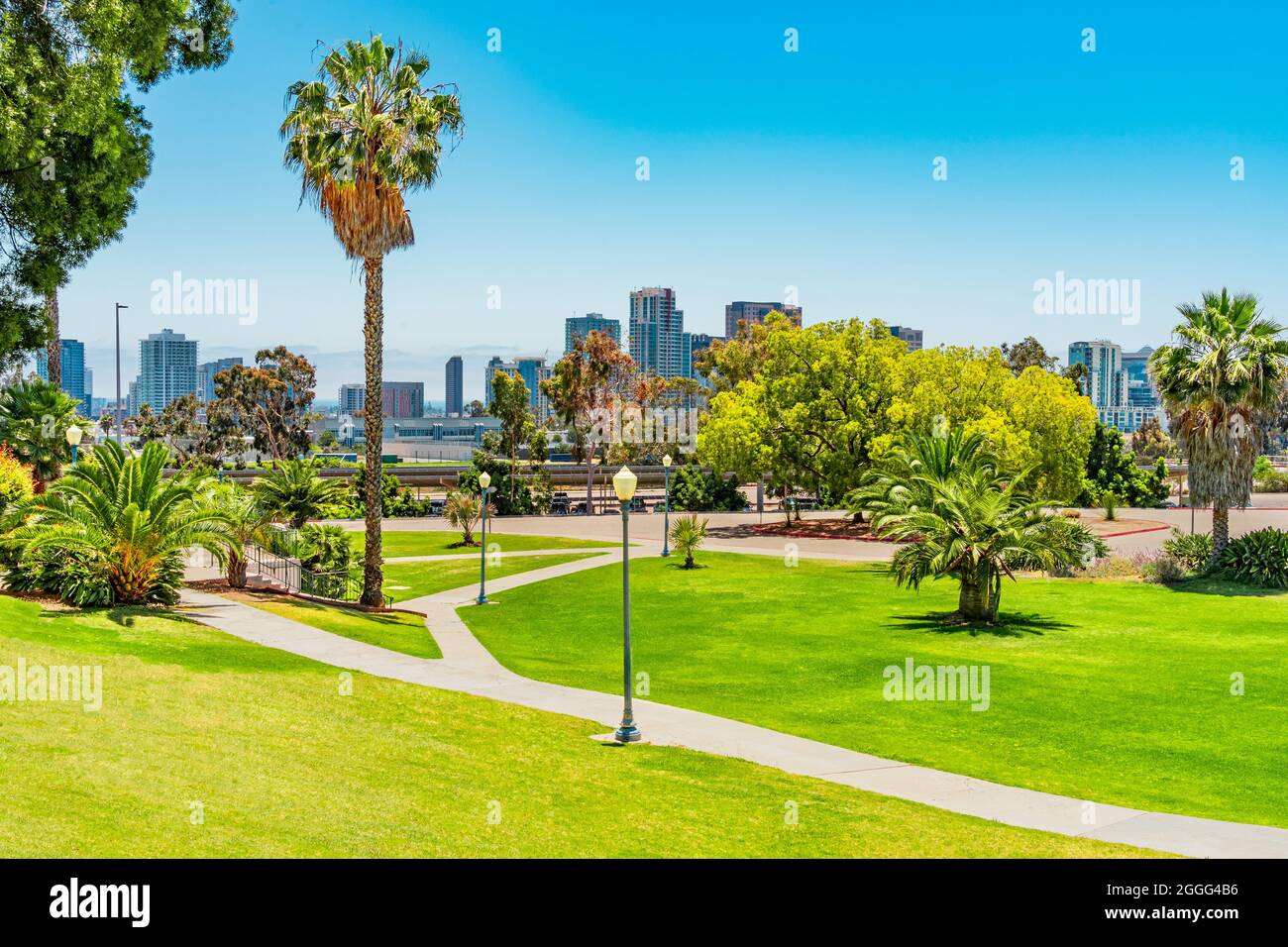 Grassy slopes and lush vegetation of Balboa Park stand in front of the skyline of downtown San Diego. Stock Photo