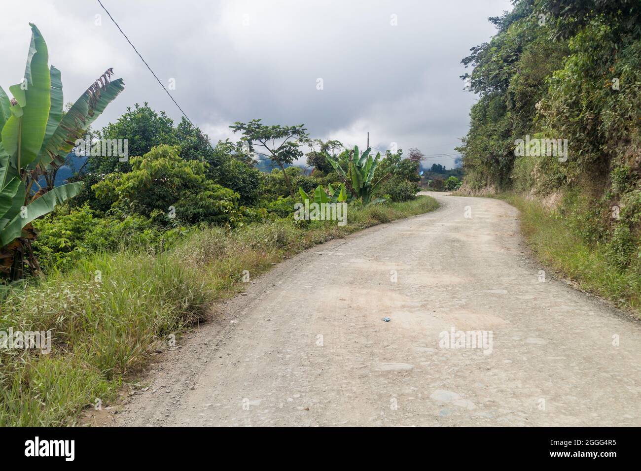 Yungas road hi-res stock photography and images - Alamy