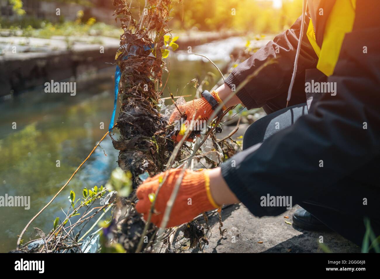 A Black Plastic Garbage Bag Being Lifted And Displaced By A Powerful Green  Tree Sapling Stock Photo, Picture and Royalty Free Image. Image 25113334.