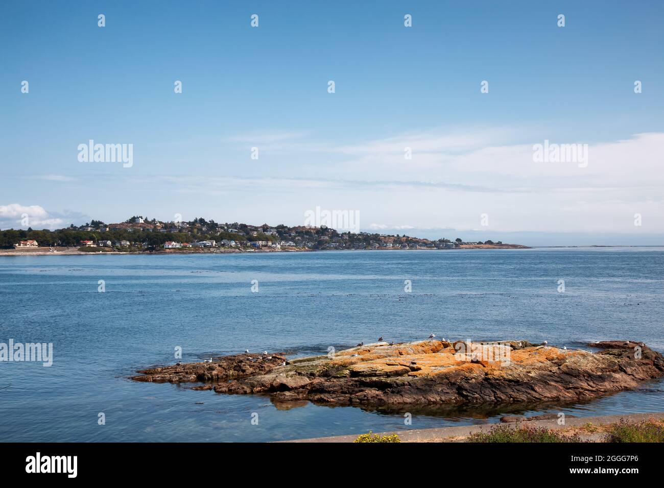 Rocky shore with birds at a modern city park, Clover Point Stock Photo