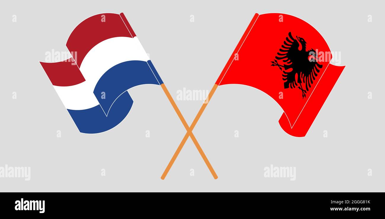 Crossed and waving flags of Albania and the Netherlands Stock Vector